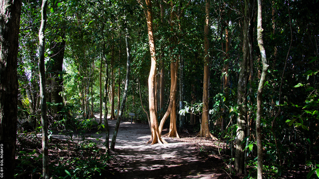 Blog Ativa | Parque Nacional Manuel Antonio