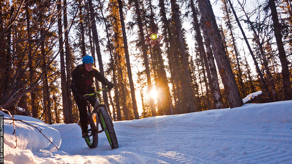 Canadá_Whitehorse_Passeio de Bicicleta