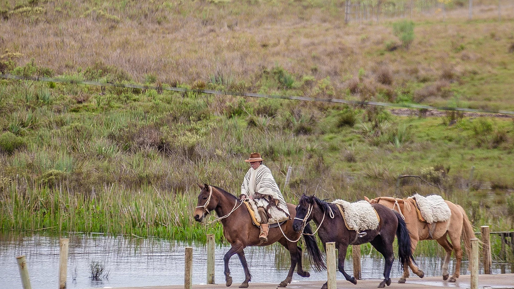 Blog Ativa | Passeio a cavalo no Parador Casa da Montanha